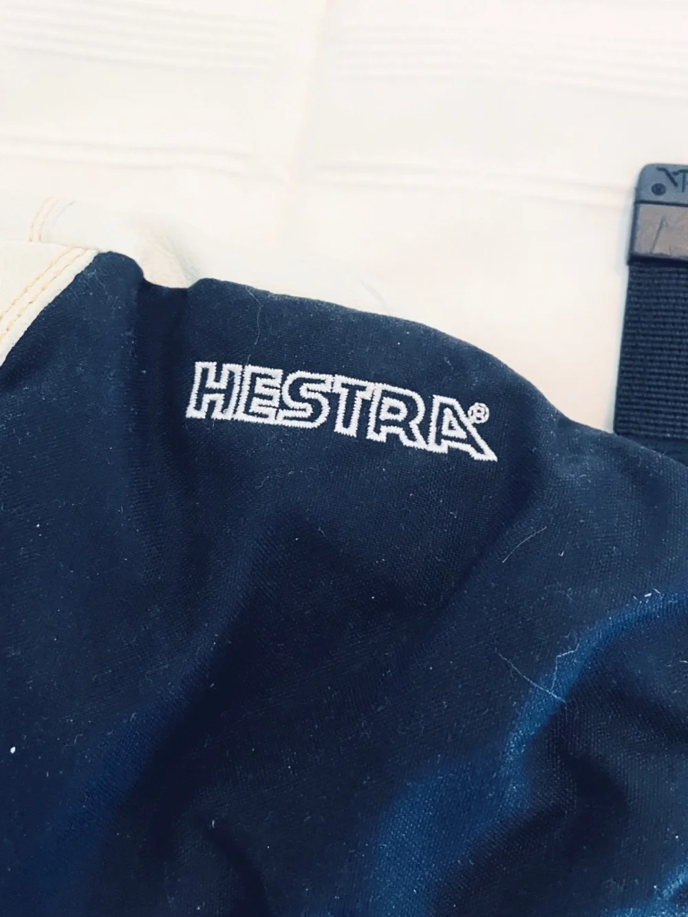 Stra Hestra ski/snow gloves
